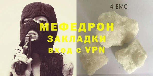 индика Алексин