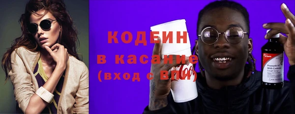 индика Алексин