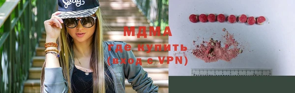 индика Алексин