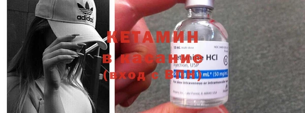 индика Алексин