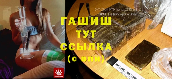 индика Алексин