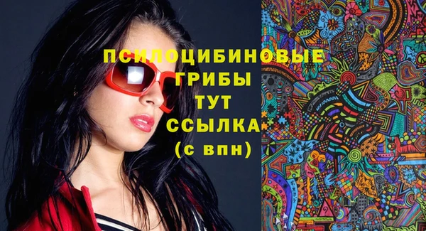 индика Алексин