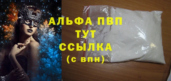 индика Алексин