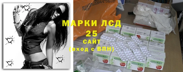 индика Алексин